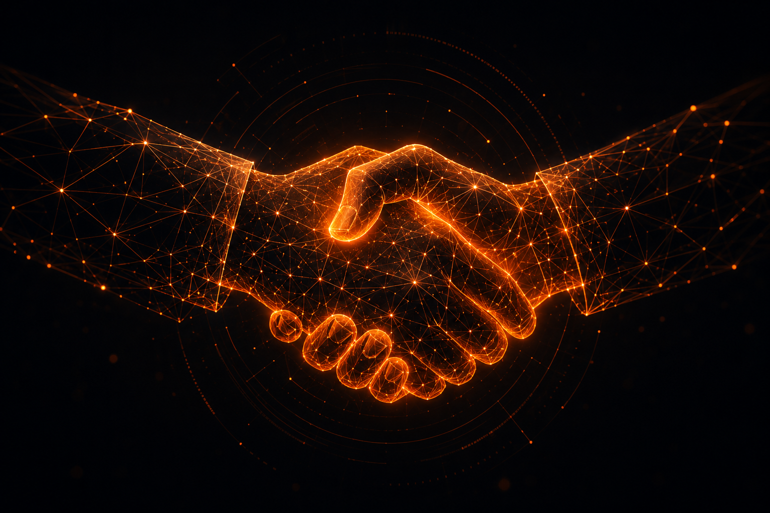 Partner network
